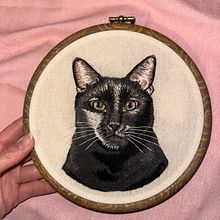 My project for course: Embroidered Pet Portraits: The Thread Painting Technique. Projekt z dziedziny  Haft, Ilustracja naturalist, czna, Wzornictwo tekst i liów użytkownika Stefania Mercuri - 02.10.2024