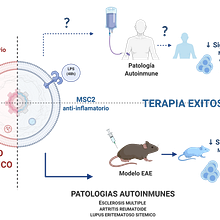 Identificación de Biomarcadores para Células Madre Mesenquimales. Creative Consulting, Design Management, Artificial Intelligence, ChatGPT, Business, Management, and Productivit project by MONICA KURTE - 11.07.2024