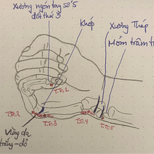  Anatomische Zeichnung um Akupunktur zu verstehen. Artistic Drawing, Drawing, Figure Drawing, Fine Arts, Ink Illustration, Pencil Drawing, Portrait Drawing, Realistic Drawing, Sketchbook, and Sketching project by tuhathanh2000 - 11.07.2024