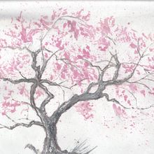 My project for course: Sumi-e Painting with Color for Floral Illustrations. Ilustração botânica, Ilustração tradicional, Ilustração com tinta, Artes plásticas, e Pintura projeto de Cher Cowan - 08.11.2024