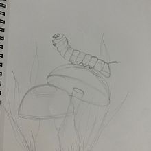 Meu projeto do curso: Desenho de tatuagem blackwork. Tattoo Design, Traditional illustration, and Digital Illustration project by Daniela Flores - 11.09.2024