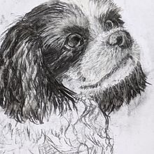 My project for course: Animal Illustration with Charcoal and Ink. Drawing, Ink Illustration, Naturalistic Illustration, and Fine Arts project by evieknight3 - 11.09.2024