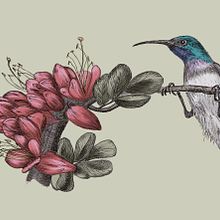 My project for course: Naturalist Illustration with Ballpoint Pen . Drawing, Realistic Drawing, Traditional illustration, and Naturalistic Illustration project by info_279080 - 11.10.2024