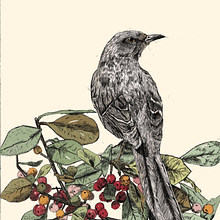 Sinsonte (Segundo Proyecto). Drawing, Realistic Drawing, Traditional illustration, and Naturalistic Illustration project by pinmobiliariosmiloteya - 11.10.2024