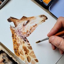 Mi proyecto del curso: Ilustración realista en acuarela de la vida salvaje. Un projet de Beaux Arts, Illustration naturaliste, Peinture , et Aquarelle de Mariana Saife - 10.11.2024