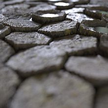 Mi proyecto del curso: Introducción a la creación de texturas con Substance Designer. Projekt z dziedziny 3D,  Modelowanie 3D, Gr i komputerowe użytkownika Marcelo pepice - 11.11.2024