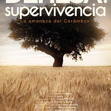 Dehesa: Supervivencia. La Amenaza del Cerambyx. Film, Video, and TV project by Juan Jose Rodriguez Nieto - 11.11.2024
