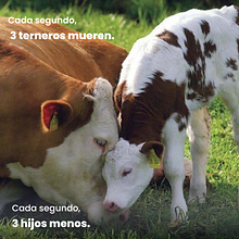 Mi proyecto del curso: Conceptualización para campañas de publicidad. Un progetto di Pubblicità, Comunicazione, Content Writing, Cop, writing, Creatività e Marketing di isidora_herquinigo - 11.11.2024