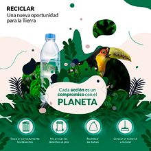 Un acción para el planeta. Un proyecto de Diseño, Animación, Redes Sociales y Marketing Digital de Alexander Roldan - 13.11.2024