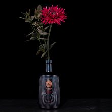 GINtastic. Un projet de Photographie, Direction artistique, Br, ing et identité, Publicité, Postproduction photographique, Photographie de produits, Photographie de studio, Photographie numérique, Photographie gastronomique, Photographie publicitaire , et E-commerce de Soulsister Miu - 13.11.2024