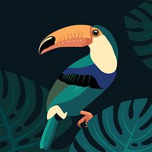 Toucan illustration. Projekt z dziedziny Grafika wektorowa użytkownika Émilie Blanchette - 13.11.2024