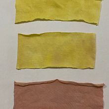 Mi proyecto del curso: Prendas naturales: diseño sostenible y tintura botánica. Un progetto di Artigianato, DIY, Textile Design e Tintura tessile di Monica Palma - 15.11.2024