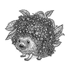 Elderberry Hedgehog. Ink Illustration project by Megan Elphick - 11.15.2024