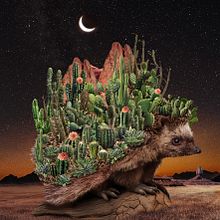 BLOOM. Criatividade, Artes plásticas, Design gráfico, Ilustração digital, Stor, telling, e Concept Art projeto de Natacha Einat - 15.11.2024