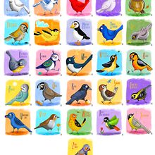 Birds A-Z. Un progetto di Illustrazione digitale di Kim Hyndman - 15.11.2024