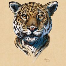 Ilustración Iluninada del curso: Ilustración naturalista de animales con Procreate. Realistic Drawing, Traditional illustration, Digital Illustration, and Naturalistic Illustration project by pencilcjp - 11.14.2024