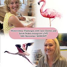 🦩 FREE Watercolour flamingos tutorial… live feed on Instagram . Pintura em aquarela projeto de Sarah Stokes - 15.11.2024