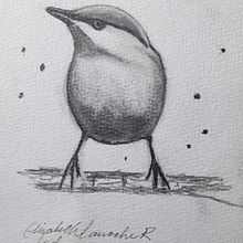 Mi proyecto del curso: Acuarela artística para ilustración de aves. Traditional illustration, Watercolor Painting, Realistic Drawing, and Naturalistic Illustration project by Elizabeth Larroche Rengifo - 11.17.2024