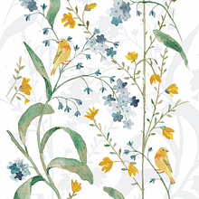 Birds and trees. Een project van Aquarelschilderen, Traditionele illustratie y  Tekening van samorgane - 18.11.2024