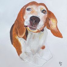 Meu projeto do curso: Retratos de pets a lápis de cor. Projekt z dziedziny Trad, c, jna ilustracja, Ilustracja naturalist i czna użytkownika Sarah Garcia Pamboukian - 02.03.2024