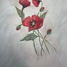 Botanical Sketchbooking: A Meditative Approach - The Greek Myth about the Poppy. Sketching, Drawing, Traditional illustration, Botanical Illustration, Watercolor Painting, and Sketchbook project by Ioanna Patroni - 11.17.2024