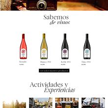 Bodega Cosecheros de Olite. Un proyecto de Diseño Web, Desarrollo Web y UX / UI de Annalisa Lombardo - 20.11.2024