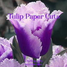 Tulip Paper Cuts. Un projet de Cinéma, vidéo et télévision, Écriture, Scénario, Réalisation, Narration, Télévision, Écriture de fiction , et Écriture créative de 3xia Niña Angela Balleza - 20.11.2024