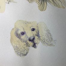 My project for course: Sketchbook Illustration with Pen: Embracing Mistakes. Drawing, Ink Illustration, Sketchbook, and Sketching project by Tatiana - 11.20.2024