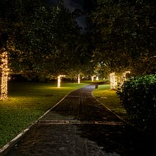 Walking in the night . Photograph project by Mihail Vásquez - 11.23.2024