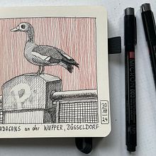 Mein Abschlussprojekt für den Kurs: Tagebuch illustrieren: Fülle dein Skizzenbuch mit Erlebnissen. Projekt z dziedziny  R, sunek, Trad, c, jna ilustracja,  R, sunek atramentem, Sketchbook i Sketching użytkownika Anke Weber - 23.11.2024