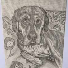 Fritz in Graphite. Un progetto di Illustrazione tradizionale di tinap1995 - 22.11.2024
