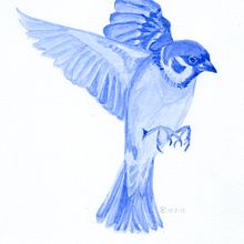 Mon projet du cours : Techniques expérimentales d’aquarelle pour débutants. Projekt z dziedziny Trad, c, jna ilustracja, Malowanie akwarelą,  Sztuki piękne, Ilustracja naturalist i czna użytkownika p.m.guinchard - 24.11.2024