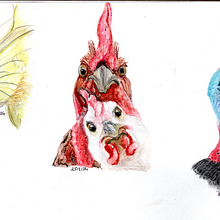 Mon projet du cours : Techniques d’illustration pour débloquer votre créativité. Un progetto di Belle arti, Design, Illustrazione tradizionale, Pittura, Creatività, Creatività con i bambini e Sketchbook di p.m.guinchard - 24.11.2024