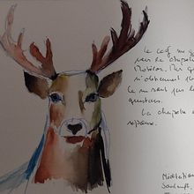 Le Cerf aux Bois Cassés. Traditional illustration project by Antoine Junod - 11.26.2024