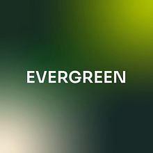 Evergreen. Design, UX / UI, Br, ing, Identit & Interactive Design project by hattieeglinton - 11.13.2024