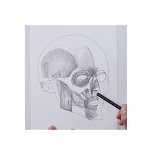 cabeza humana . Un progetto di Belle arti, Disegno, Disegno a matita, Disegno anatomico, Disegno di ritratti e Disegno realistico di xhimmena - 29.11.2024
