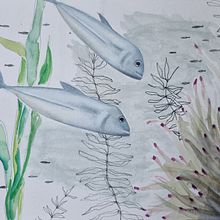 Mi proyecto del curso: Ilustración de universos marinos en acuarela. Traditional illustration, Naturalistic Illustration, Painting, and Watercolor Painting project by Francisca Lechuga - 11.30.2024
