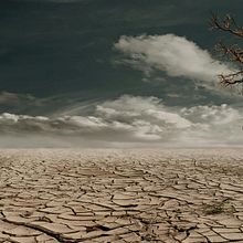 Consciencia. Un progetto di Cinema, video e TV di Melvin Joel Pérez Valerio - 03.09.2023