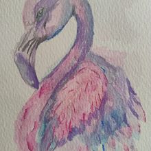 FLAMINGO. Un progetto di Illustrazione tradizionale, Pittura ad acquerello, Belle arti e Illustrazione naturalistica di Andy Riv - 02.12.2024