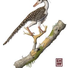Mi proyecto del curso: Ilustración naturalista de animales con Procreate  Ein Projekt aus dem Bereich Realistische Zeichnung, Traditionelle Illustration, Digitale Illustration und Naturalistische Illustration von Cristopher León - 28.11.2024