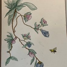 My project for course: Illustrating Nature with Watercolor and Pen. Projekt z dziedziny R, sunek botaniczn,  R, sunek,  Sztuki piękne, Trad, c, jna ilustracja,  Malarstwo i Malowanie akwarelą użytkownika Tony Araiza - 03.12.2024