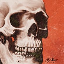 Human Skull with a hint of Orange. Ilustração digital projeto de P.J. Shotts - 03.12.2024