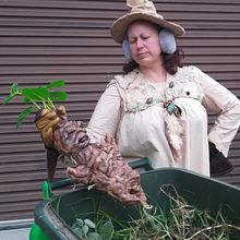Professor Sprout costume. Un progetto di Artigianato, Costume design e Scultura di Sherilee Nickels - 04.12.2024