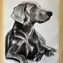 Retrato animal Ein Projekt aus dem Bereich Bildende Künste, Zeichnung, Illustration mit Tinte und Naturalistische Illustration von reinadanzante - 05.12.2024