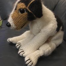 Foxterriër . Un progetto di DIY, Fiber Art, Maglia e Textile Design di annemiekzwegers - 06.12.2024