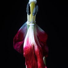 Recent Still life photography. Photograph project by Joshua Weiner - 12.05.2024