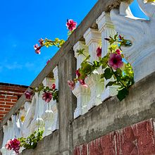 Fotografía de viajes con smartphone para principiantes . Un projet de Photographie pour Instagram, Photographie smartphone , et Photographie extérieure de Nayelli Burgos - 07.12.2024