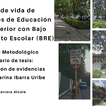 Capítulo metodológico. Communication, Design Management, Information Design, Management, Productivit, and Presentation Design project by Jocabed - 12.09.2024