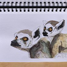 Mi proyecto del curso: Técnicas experimentales de acuarela para principiantes. Traditional illustration, Watercolor Painting, Fine Arts, and Naturalistic Illustration project by darioporras - 12.10.2024