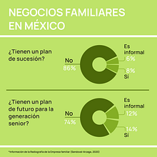 Negocios en México. Communication, Information Design, Graphic Design, Design Management, Infographics, Marketing, and Presentation Design project by Alicia Sa - 12.11.2024